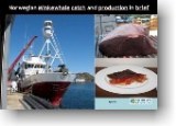<a class="hlink" href="/portal/page/portal/RafisklagetDokumenter/Nettbutikk/Norwegian_Minkewhale_2012.pdf">Norwegian Minkewhale - catch and production in brief </a>